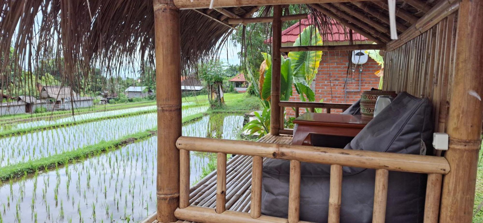 Hotel Uma Nirmala Aling-Aling Singaraja Zewnętrze zdjęcie
