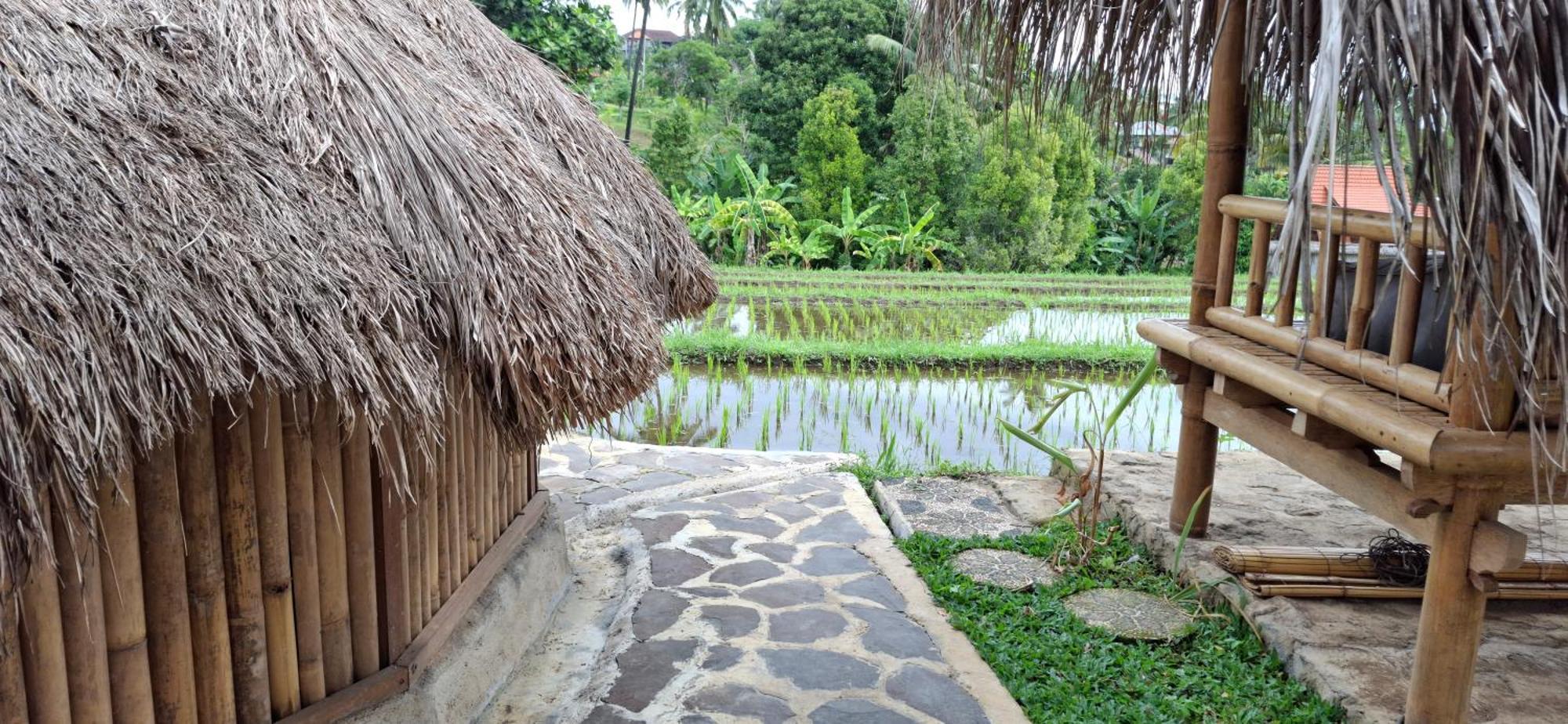 Hotel Uma Nirmala Aling-Aling Singaraja Zewnętrze zdjęcie
